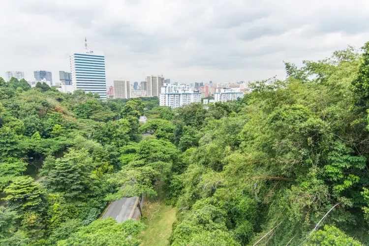 view of singapore from henderson waves