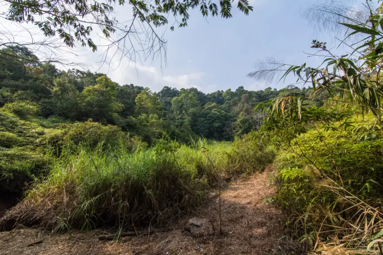 before summit ramkhamhaeng park sukhothai