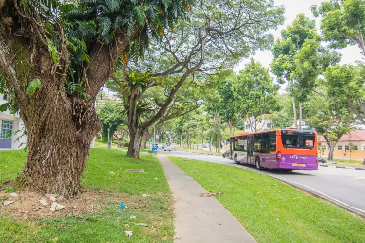 sbs transit singapore bus