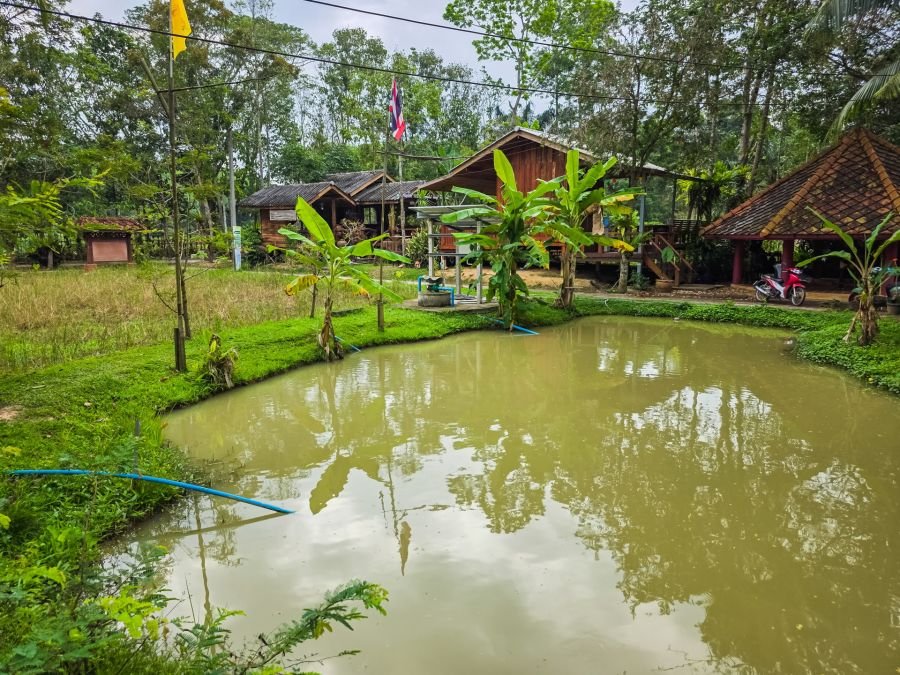 centre recherche au nong yai area development project under royal initiative chumphon