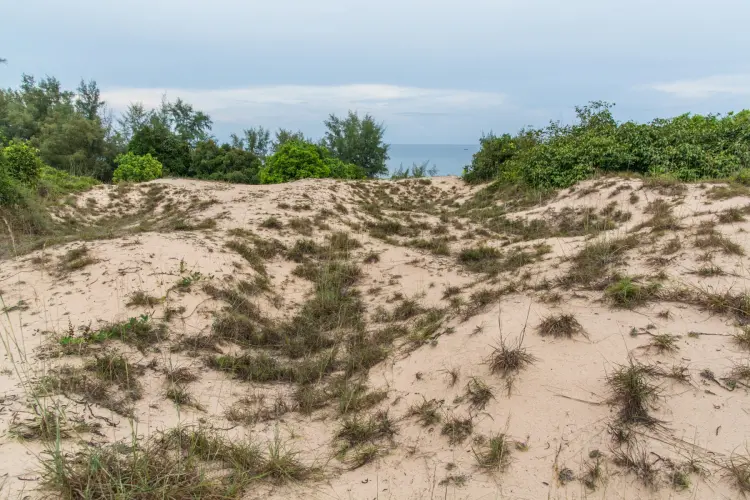 chumphon sand dunes - thailand