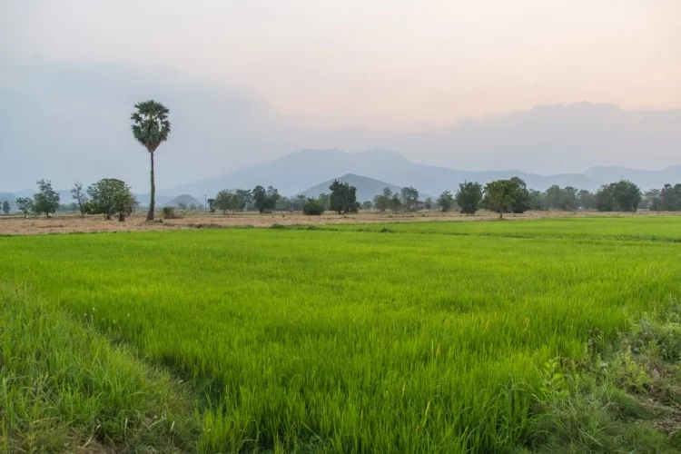 ramkhamhaeng park mountain sukhothai