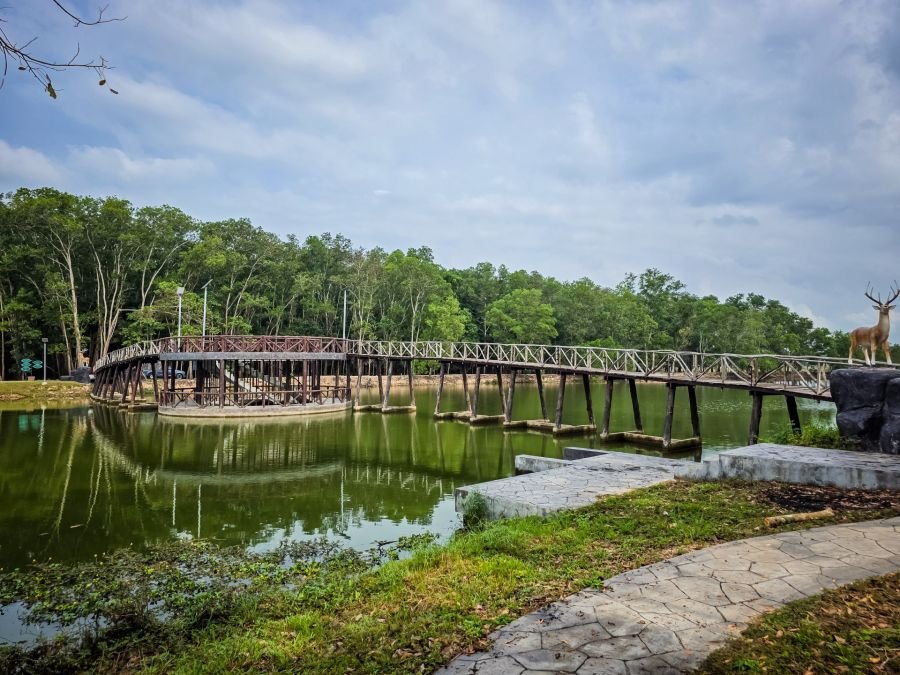 nature trail study nong yai area development project under royal initiative chumphon