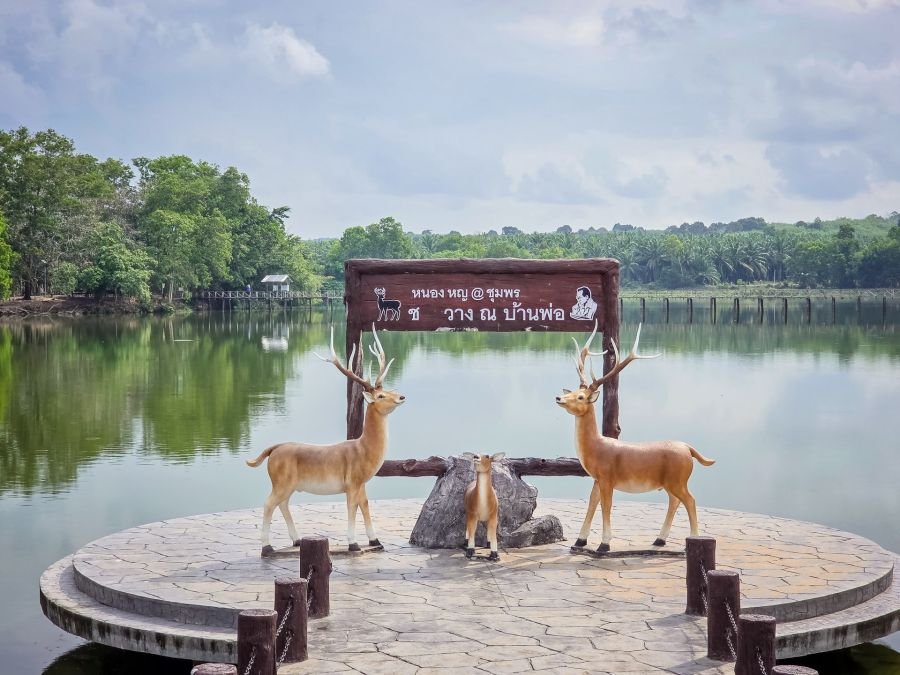 panneau cerfs nong yai area development project under royal initiative chumphon