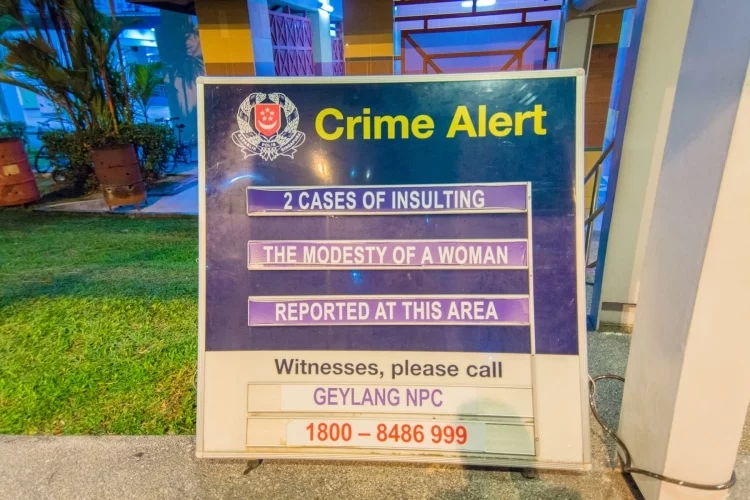 singapore witness search panel