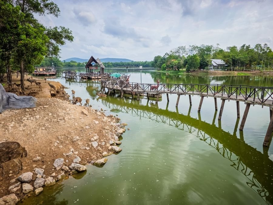 promenade sur ponton en bois nong yai area development project under royal initiative chumphon