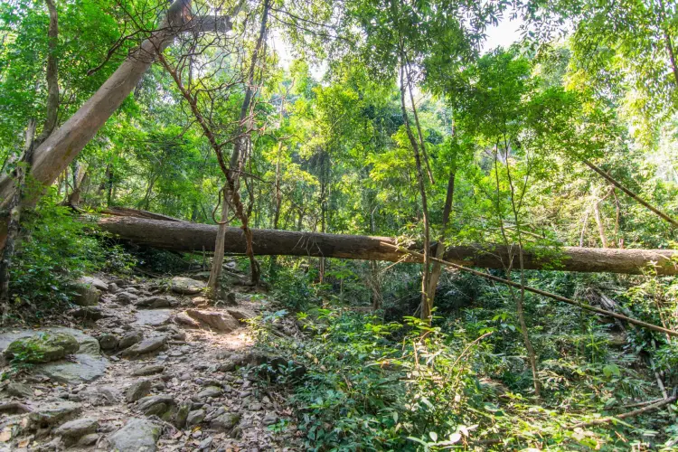 hiking ramkhamhaeng park sukhothai