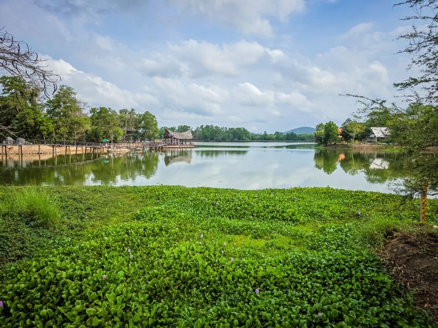 reserve de nong yai area development project under royal initiative chumphon