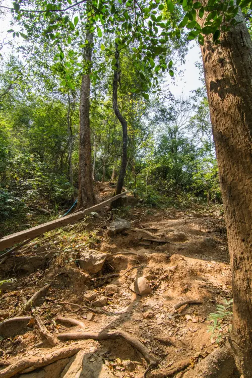 trail park ramkhamhaeng sukhothai