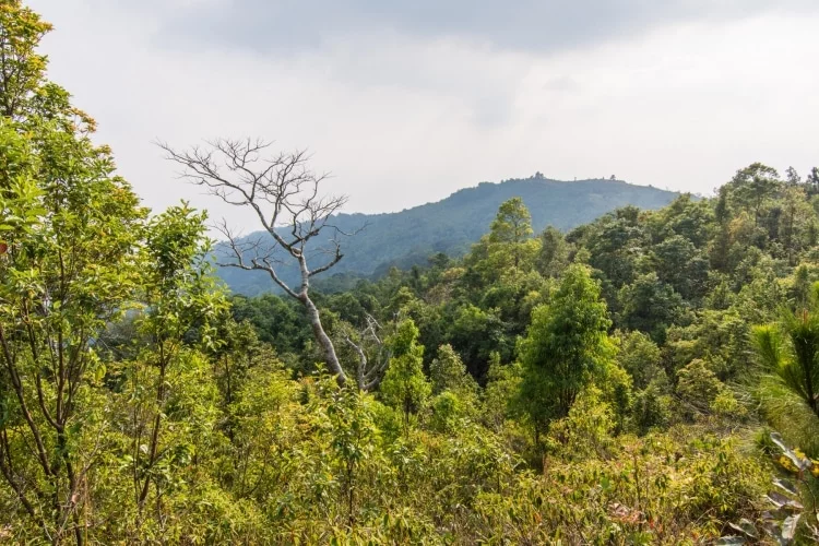 on mountain khao luang ramkhamhaeng park sukhothai