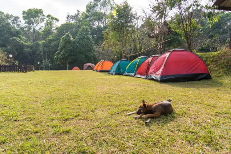 tents park ramkhamhaeng sukhothai