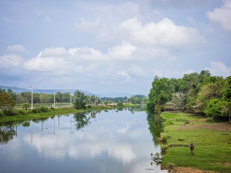 vue depuis pont nong yai area development project under royal initiative chumphon