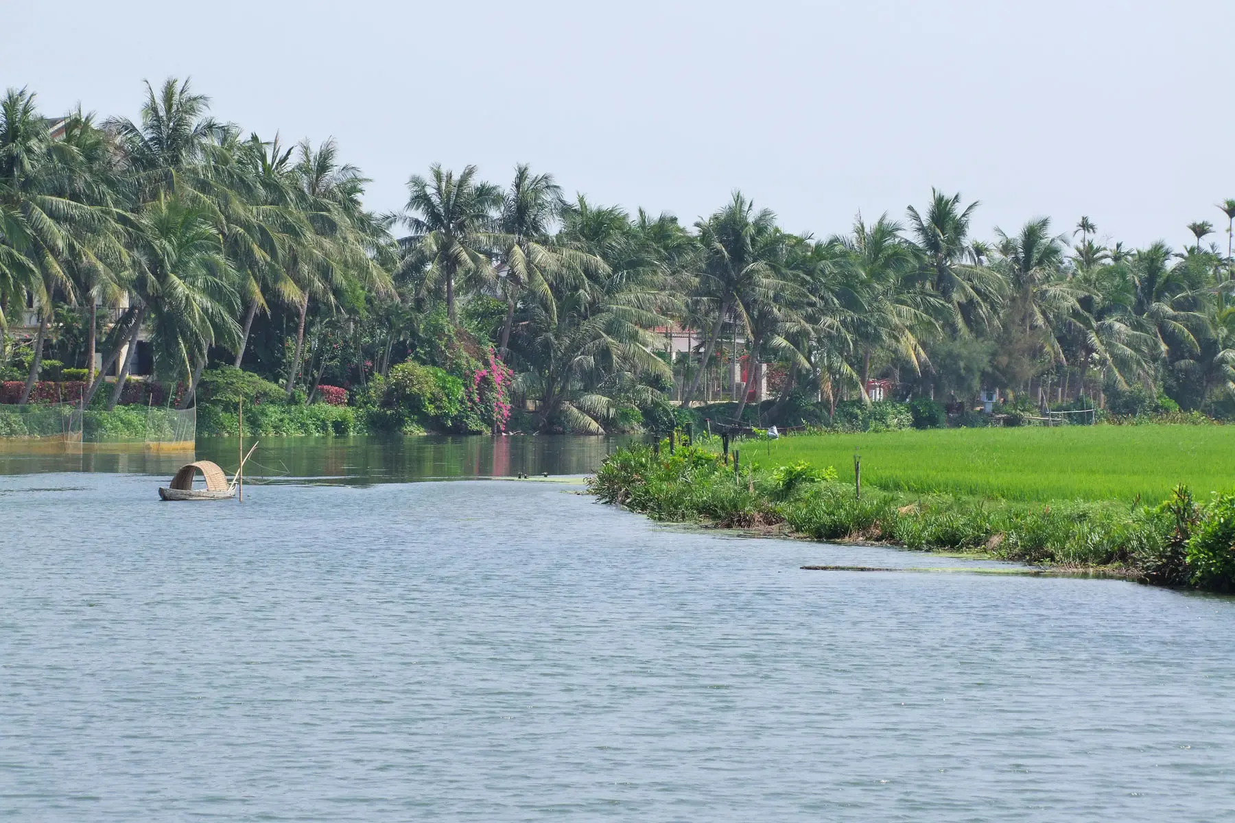 nature campagne hoi an vietnam