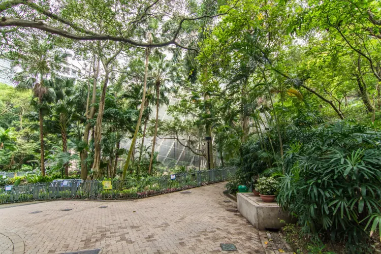 in hong kong park