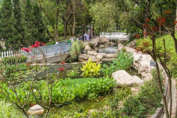 hong kong park