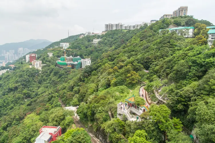 victoria peak - hong kong