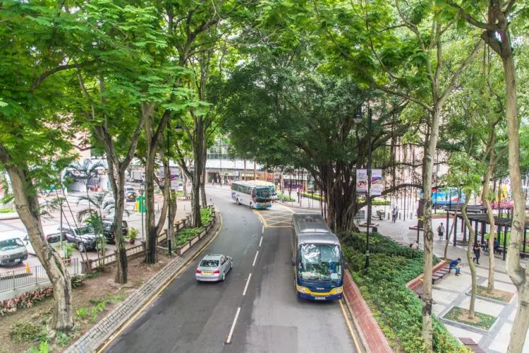 wooded street - hong kong
