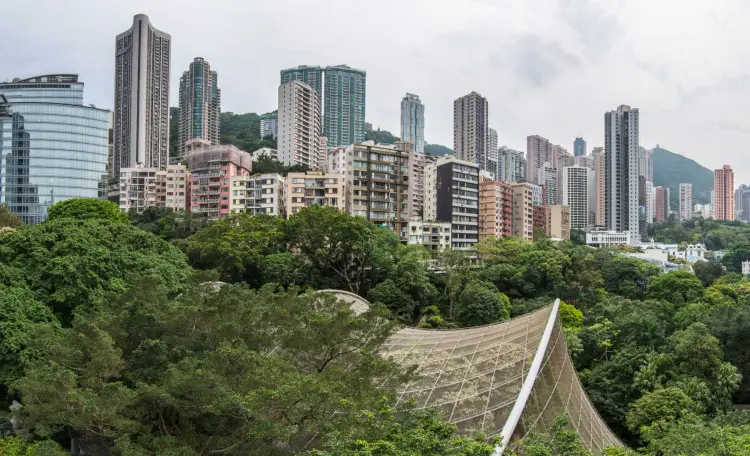 vantage point - hong kong park