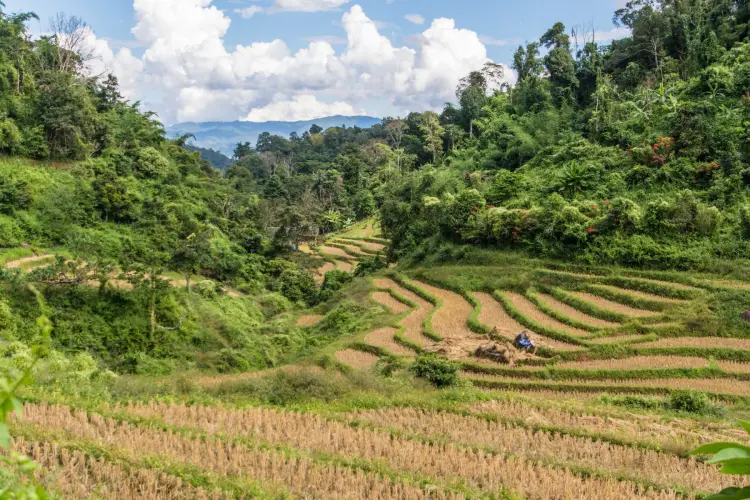 landscape during trek chiang mai - thailand