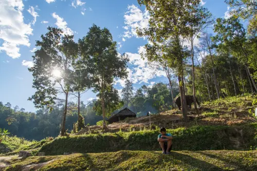 northern elephant sanctuary chiang mai - thailand