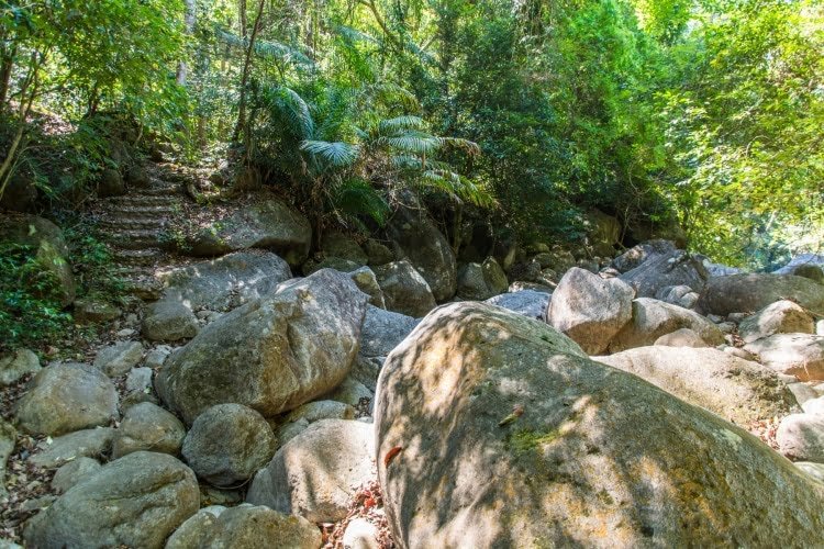 chemin autour namtok phlio - chanthaburi - thailande