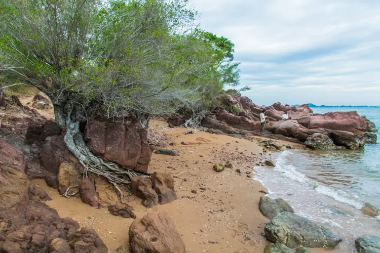 wild coast kung krabaeng wildlife sanctuary - chao lao - chanthaburi