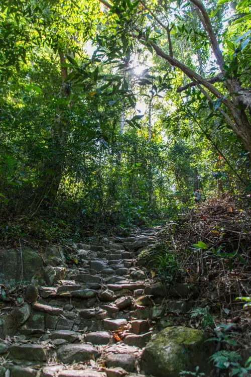 staircase - namtok phlio - chanthaburi - thailand