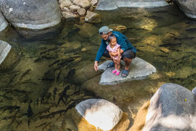 namtok phlio family - chanthaburi - thailand
