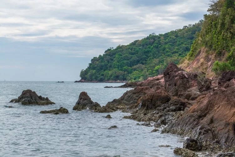 littoral kung krabaeng wildlife sanctuary - chao lao - chanthaburi