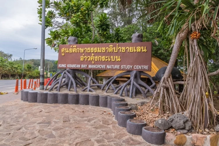 mangrove panel khung kraben - chao lao - chanthaburi
