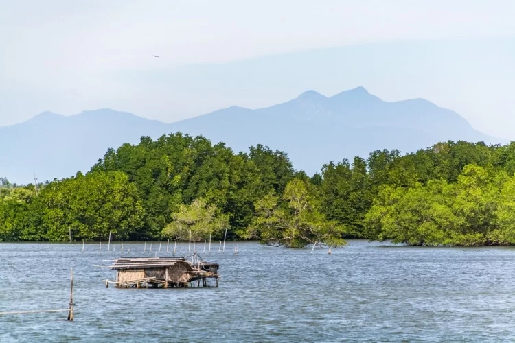 landscape from bang sakao bridge chanthaburi - thailand