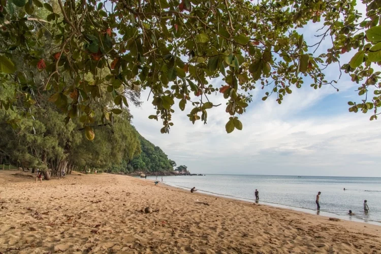 beach ao krathing laem sing forest park - chanthaburi
