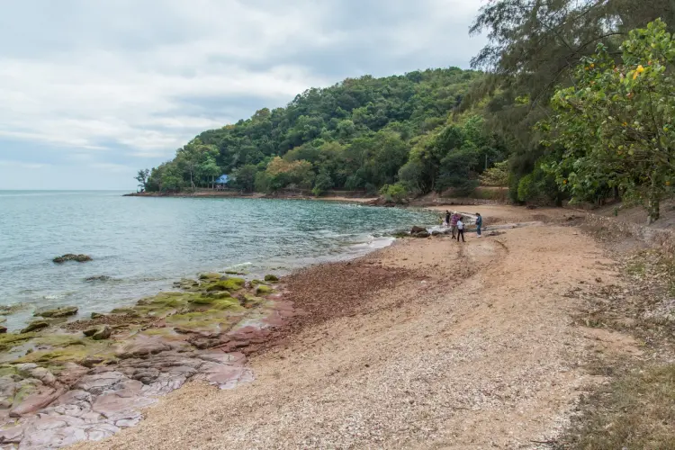 beach kung krabaeng wildlife sanctuary - chao lao - chanthaburi