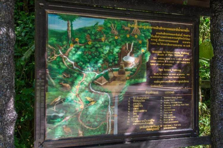 plan trail - namtok phlio - chanthaburi - thailand