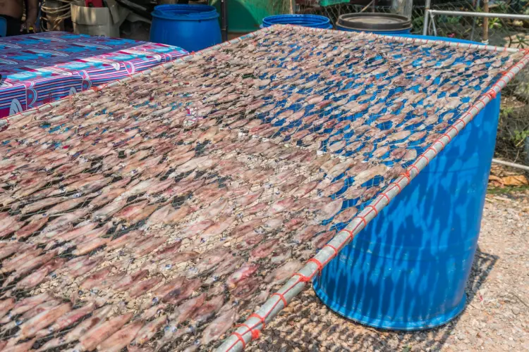 dried fish village of hua laem - chanthaburi