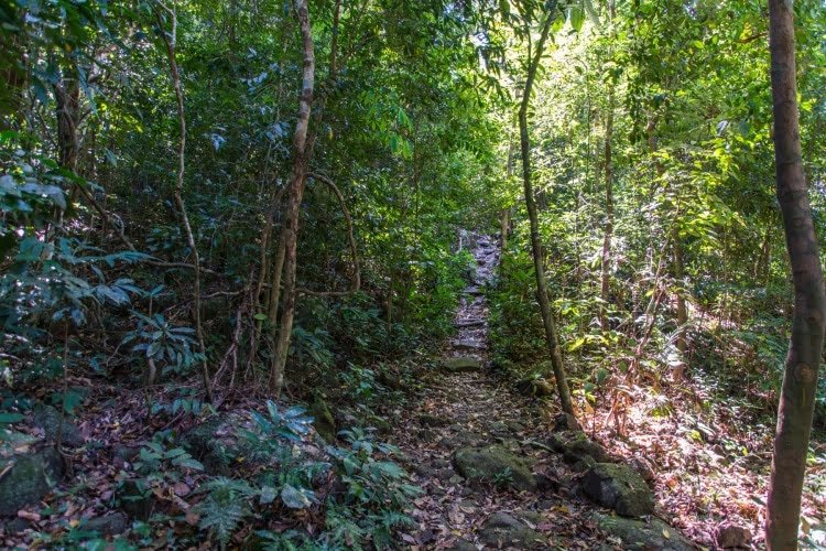 trail parc national namtok phlio - chanthaburi - thailande