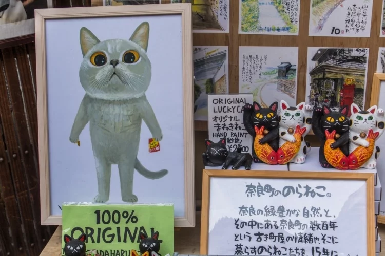 artist shop nara street - japan