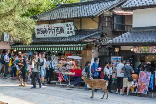 shops and deer nara - japan
