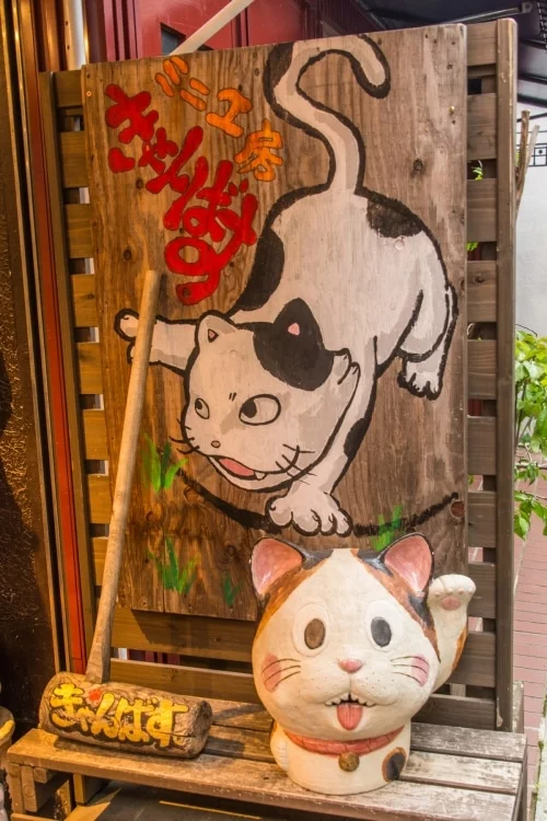 cats street nara - japan