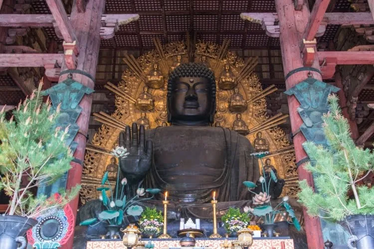 big buddha daibutsuden todai-ji nara temple - japan