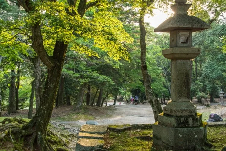todai-ji nara stone lantern - japan