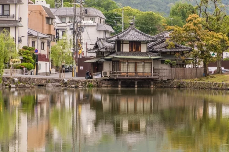house by the pond nara - japan