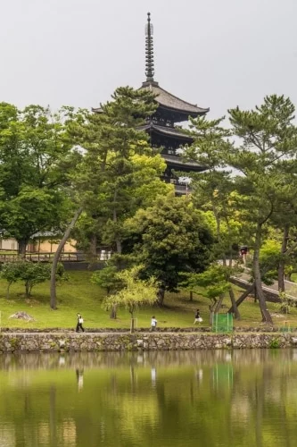 visible pagoda pond sarusawanoike - nara japan