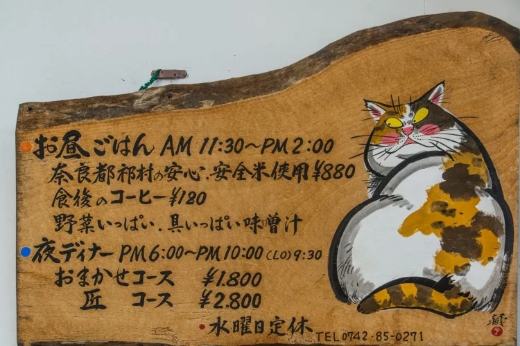 cat sign nara street - japan
