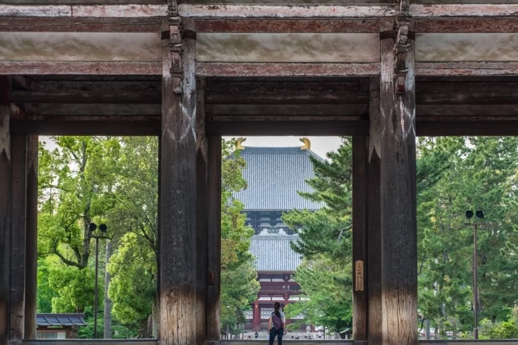 todai-ji daibutsu-den from south gate nara - japan