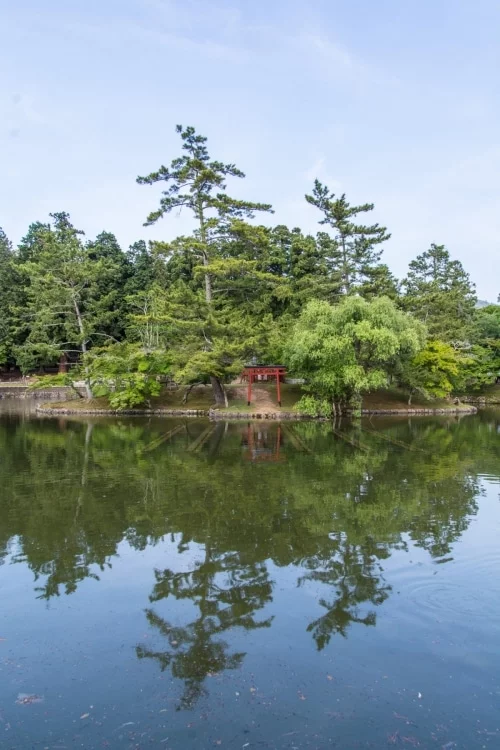 torii mirror pond nara - japan