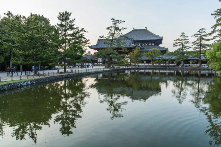 todai-ji view from nara mirror pond - japan