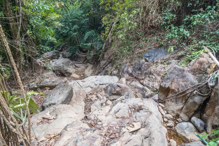 access to khlong neung ko chang waterfall - thailand