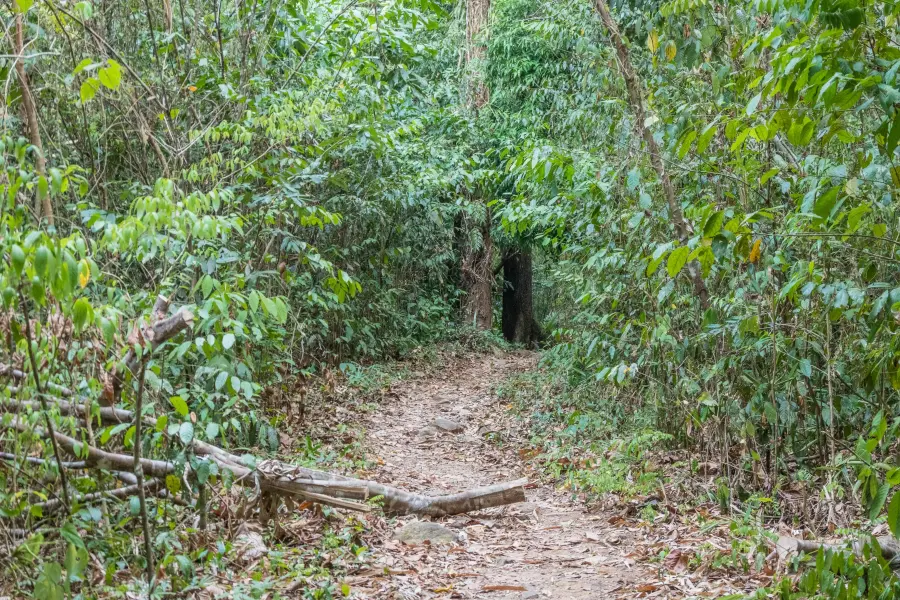 walk waterfall khlong chao lueam ko chang - thailand