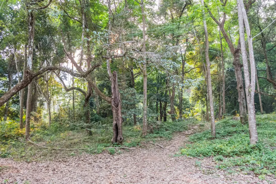 khiri phet ko chang waterfall path - thailand